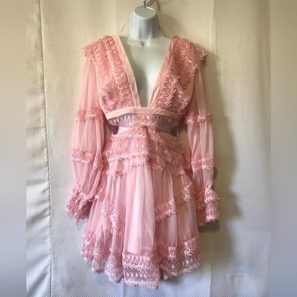 Rosevelvet Pink Lace Mini Dress Long Sleeve Cutout Ruffle Hem Size M - Picture 7 of 9